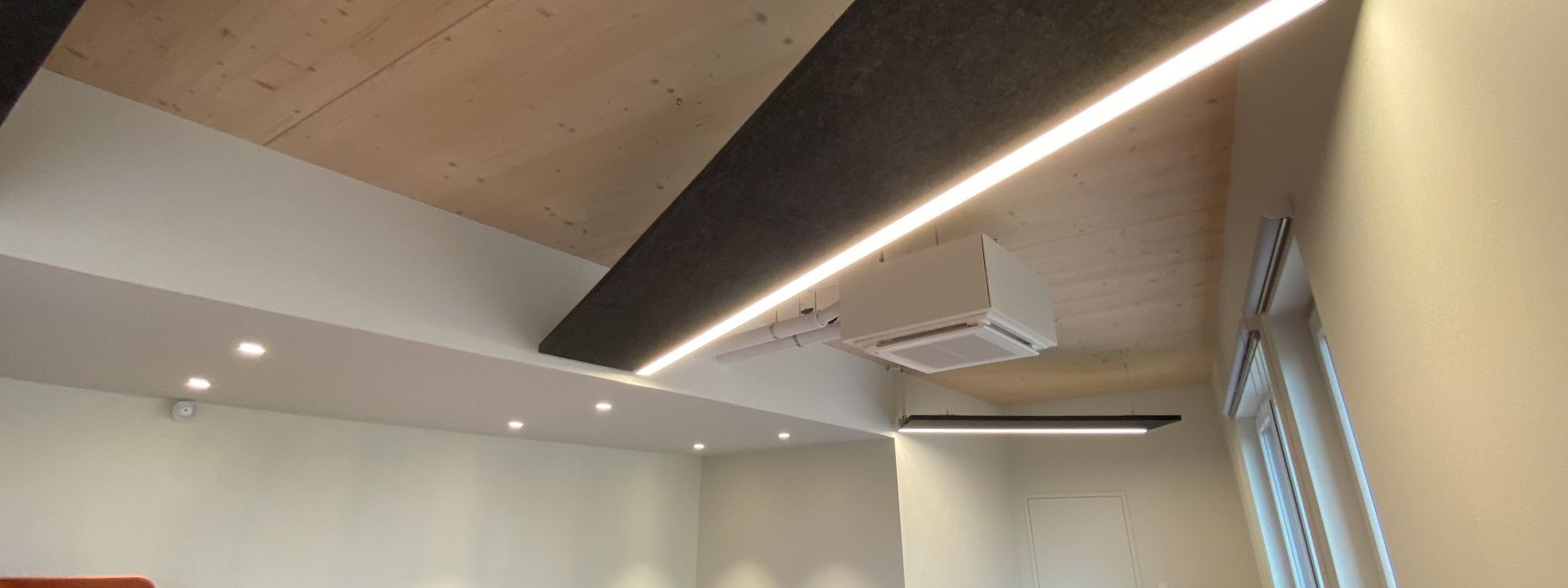 Plafonds Suspendus Strasbourg